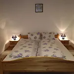 Apartman Schiestl Zell am Ziller