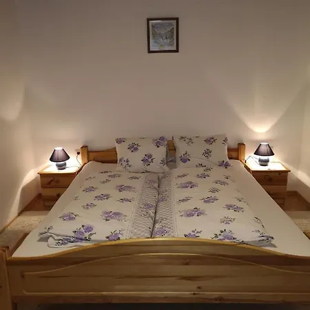 Apartment Schiestl Zell am Ziller